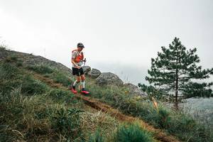 BIB: 
                            <button type="button" onclick="openModal(26007464)" class="btn btn-primary btn-sm float-right btn-popup" data-toggle="modal" data-target=".modal-high-quality">
                        <i class="fas fa-shopping-cart"></i> Add to Cart
                    </button>
                                            <button type="button" onclick="isThisMe(26007464, true)" class="btn btn-success btn-sm float-right btn-popup btn-isme hidden" data-toggle="tooltip" data-placement="bottom" title="นี่คือรูปของคุณใช่ไหม คลิกที่นี่เพื่อเอาเข้าอัลบั้ม">
                        <i class="fas fa-plus"></i> Add to album
                    </button>
                    <button type="button" onclick="isThisMe(26007464, false)" class="btn btn-warning btn-sm float-right btn-popup btn-isnotme hidden">
                        <i class="fas fa-ban"></i> Remove from album
                    </button>